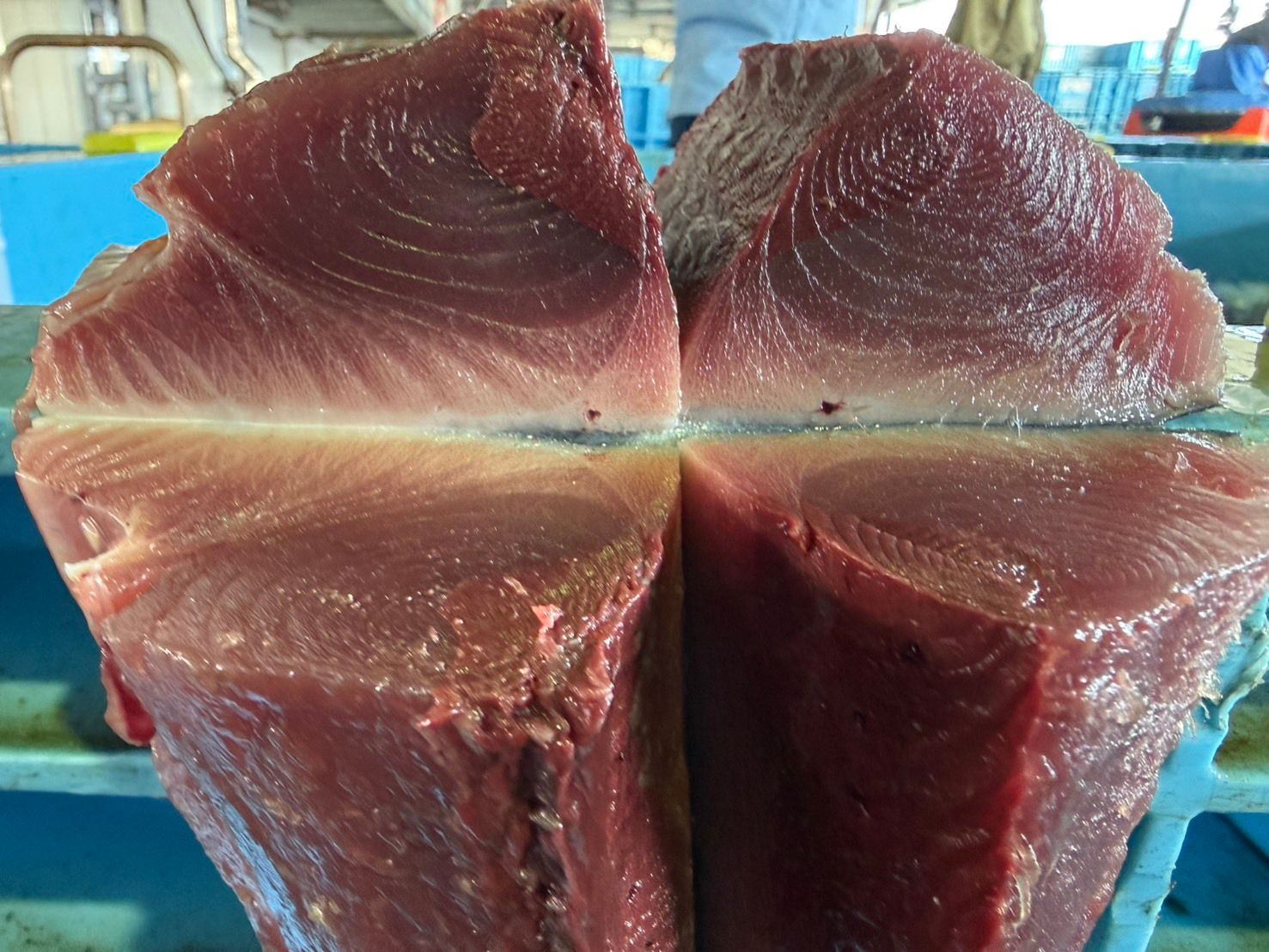 すべての商品 | 魚ポチ | 飲食店専門の仕入れサービス