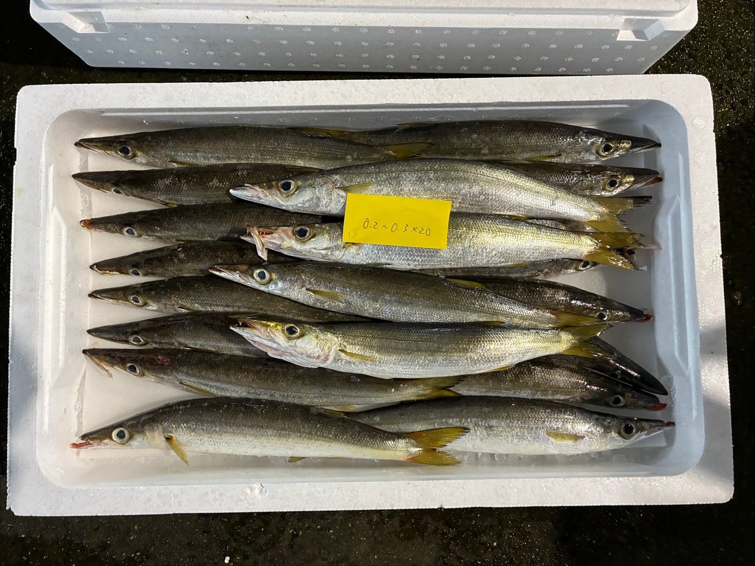 すべての商品 | 魚ポチ | 飲食店専門の仕入れサービス