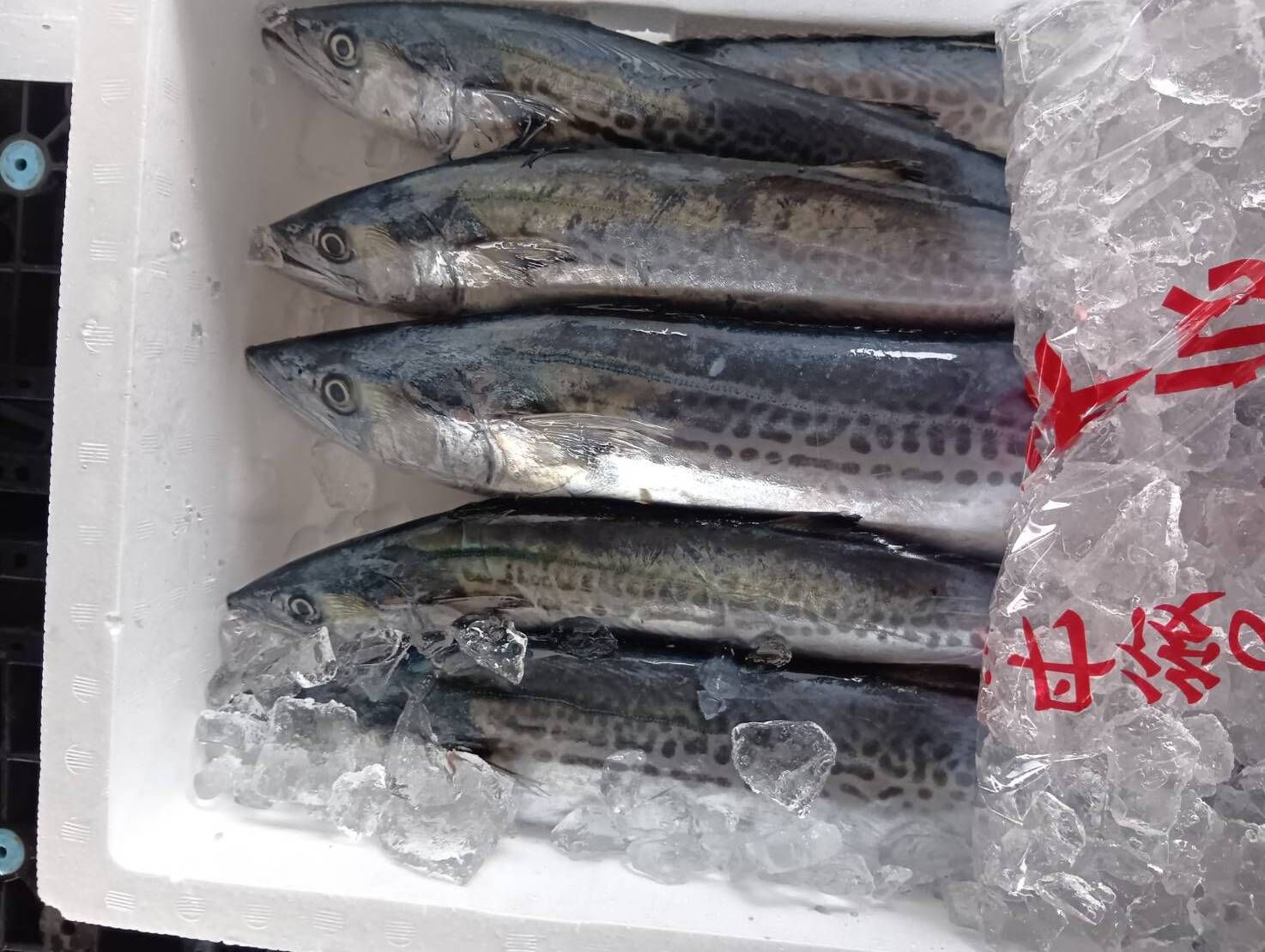 すべての商品 | 魚ポチ | 飲食店専門の仕入れサービス