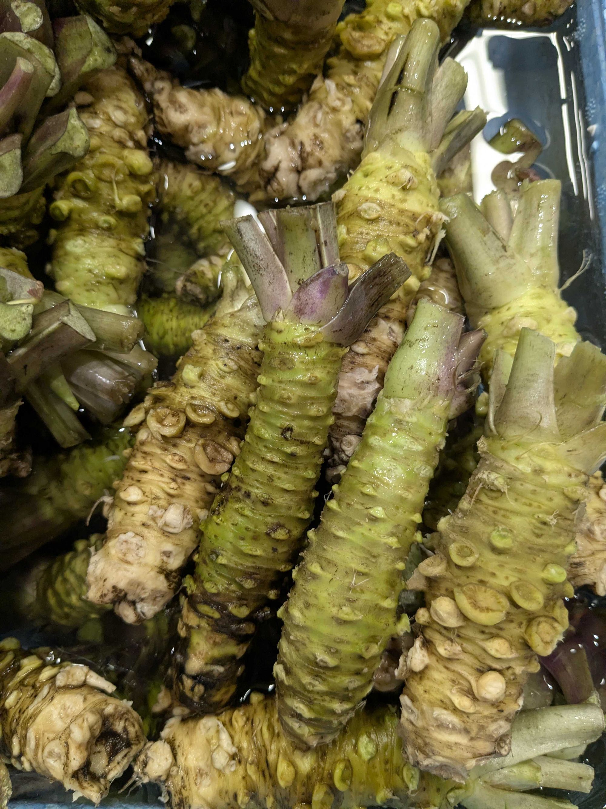 わさび | 魚ポチ | 飲食店専門の仕入れサービス