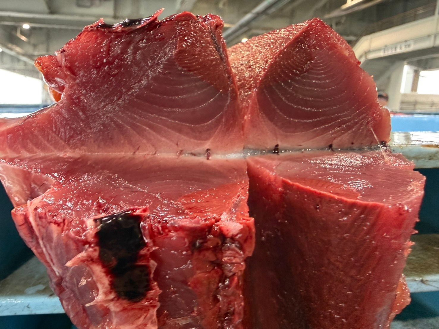 飲食店向け鮮魚の発注なら魚ポチ | 魚ポチ | 飲食店専門の仕入れサービス