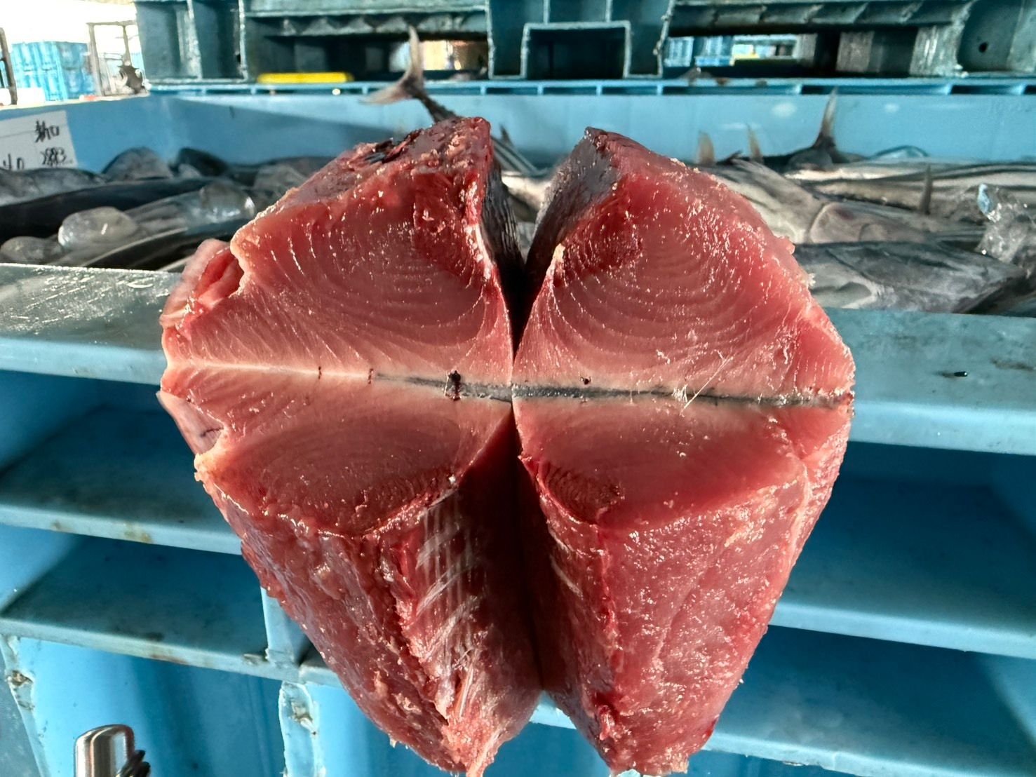 飲食店向け鮮魚の発注なら魚ポチ | 魚ポチ | 飲食店専門の仕入れサービス