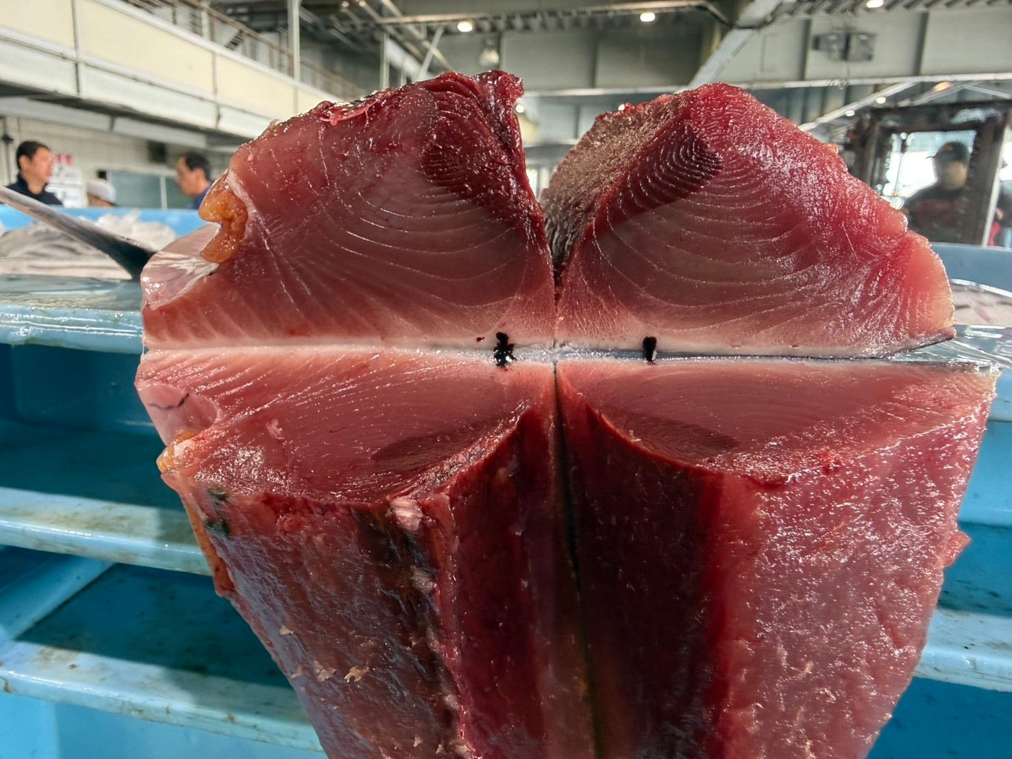 ぽち出品になります。 飲食店向け鮮魚の発注なら魚ポチ | 魚ポチ | 飲食店専門の仕入れサービス