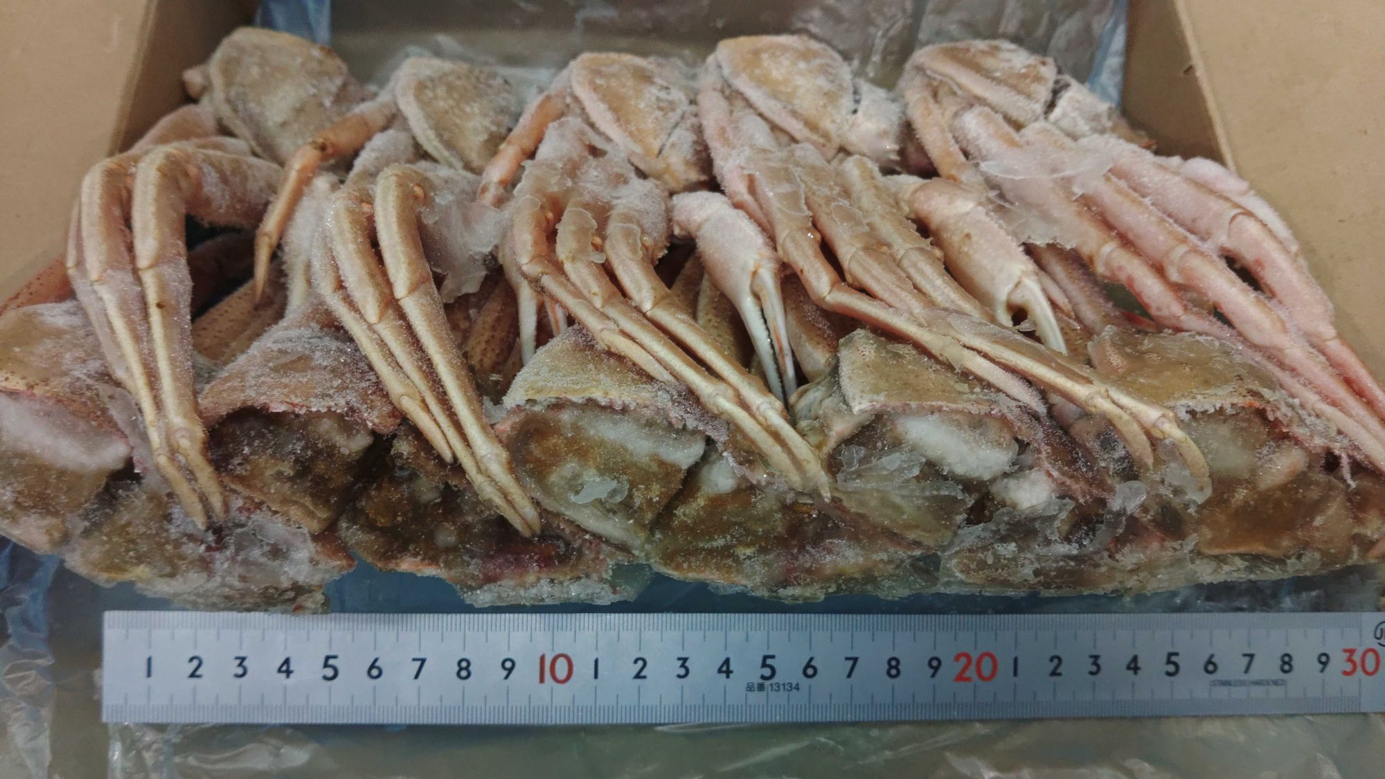 はなりんページ(o^^o) 冷凍北海道産生オオズワイガニオス(切りガニ四ツ割)100/120サイズ | 魚