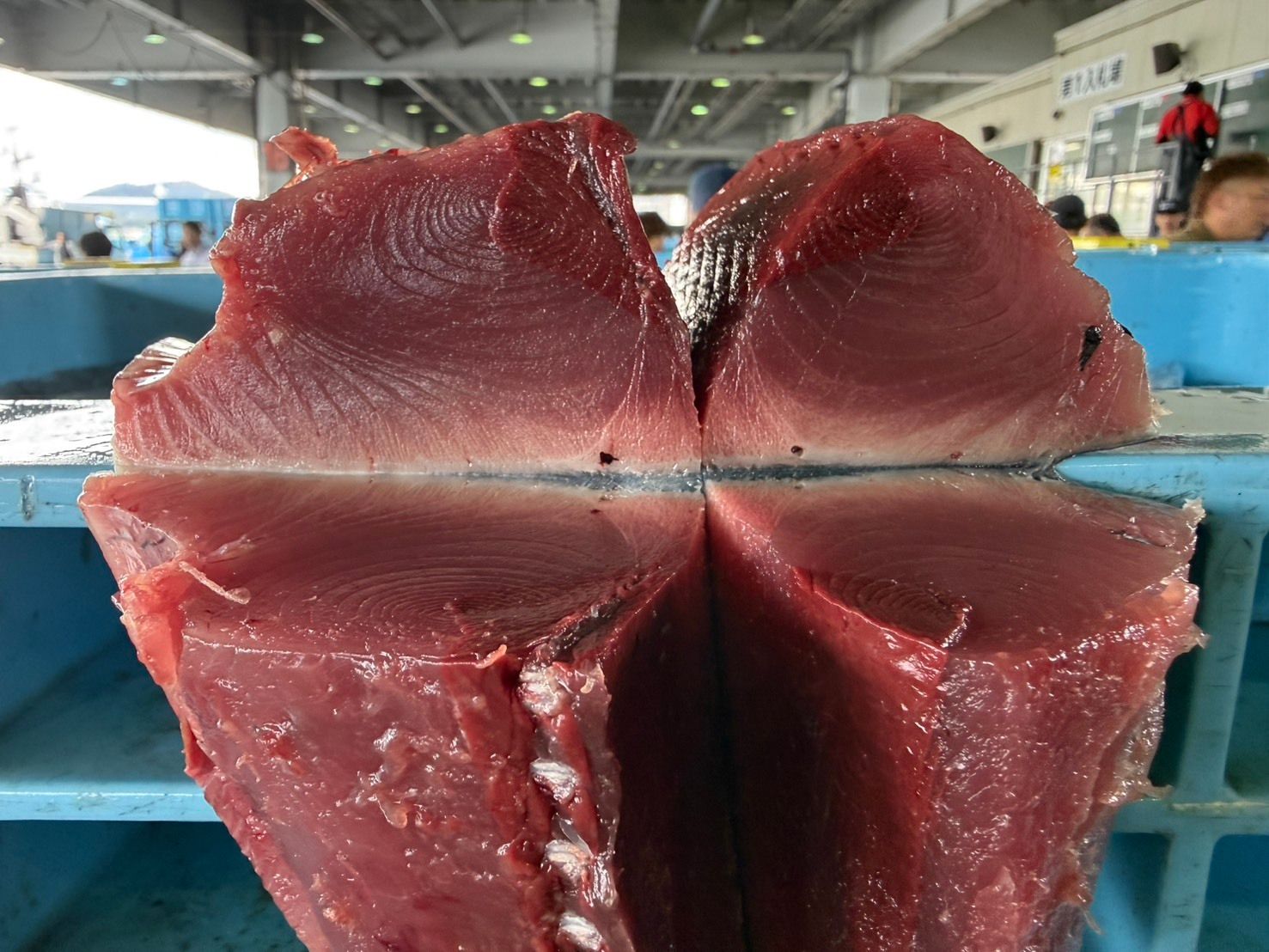 飲食店向け鮮魚の発注なら魚ポチ | 魚ポチ | 飲食店専門の仕入れサービス