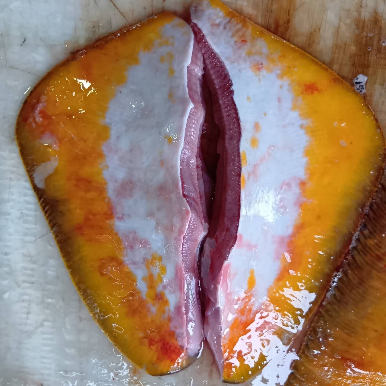 ポチ出品 産地仕入れの魚 | 魚ポチ | 飲食店専門の仕入れサービス
