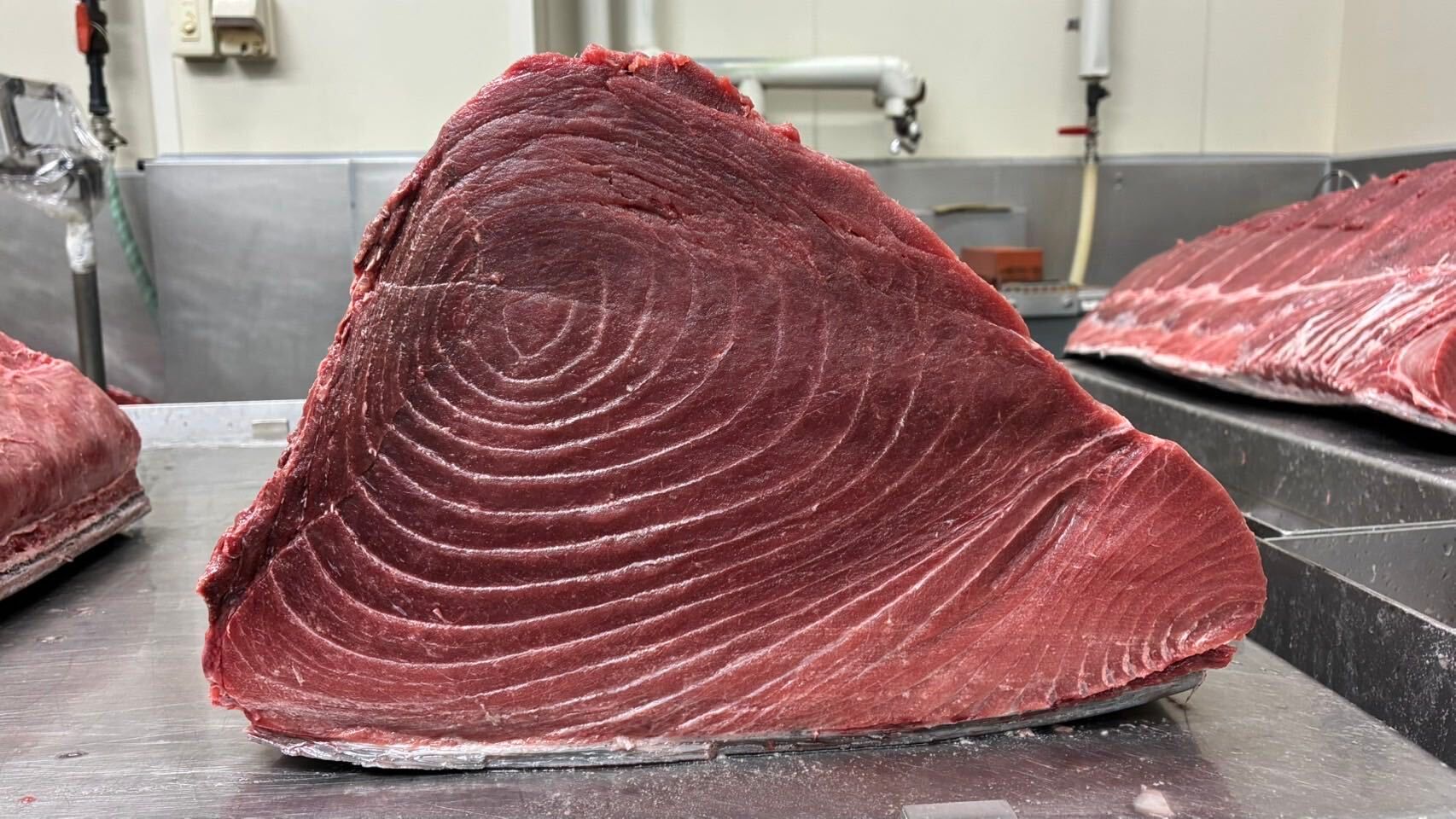 オリジナル商品 | 魚ポチ | 飲食店専門の仕入れサービス
