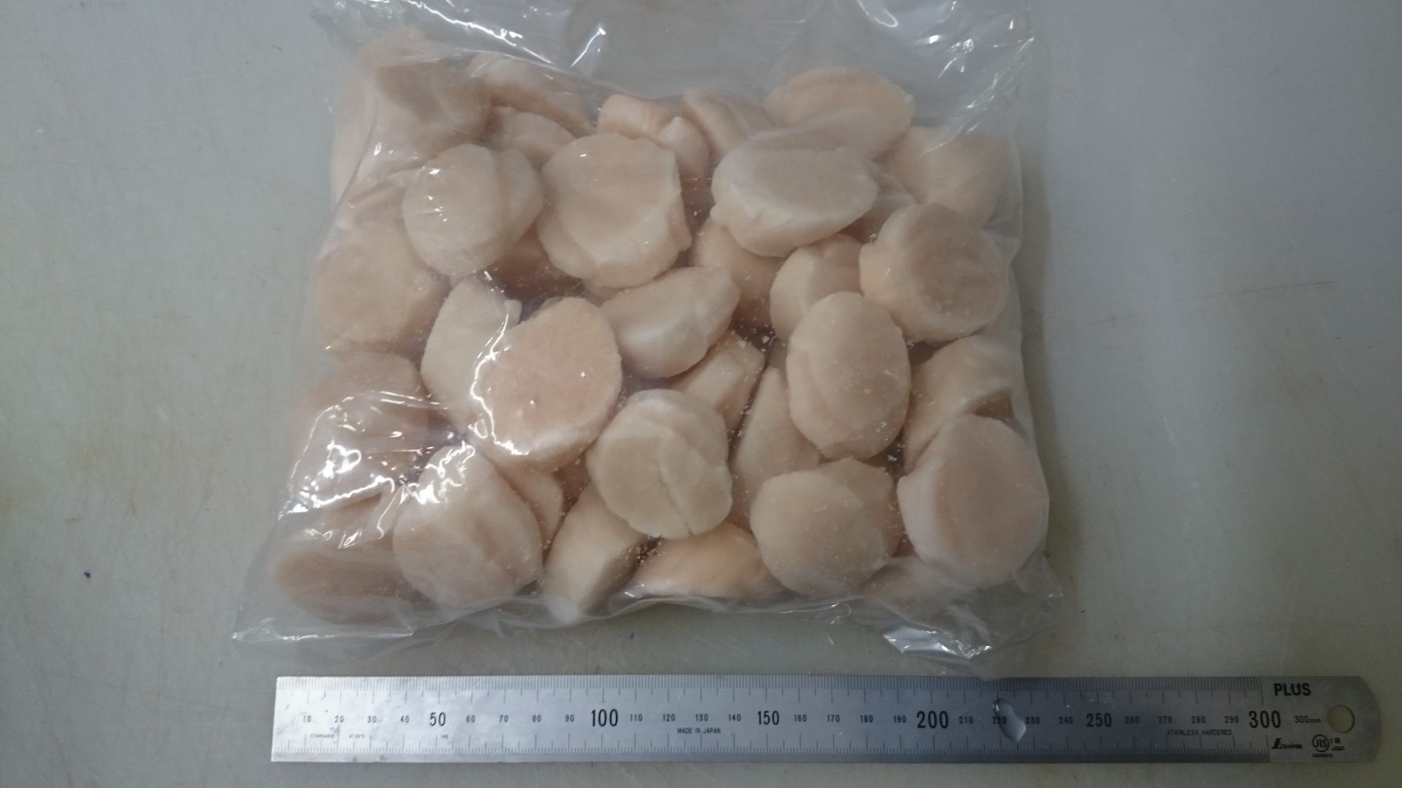 売り切り、訳あり特価商品特集！ | 魚ポチ | 飲食店専門の仕入れサービス