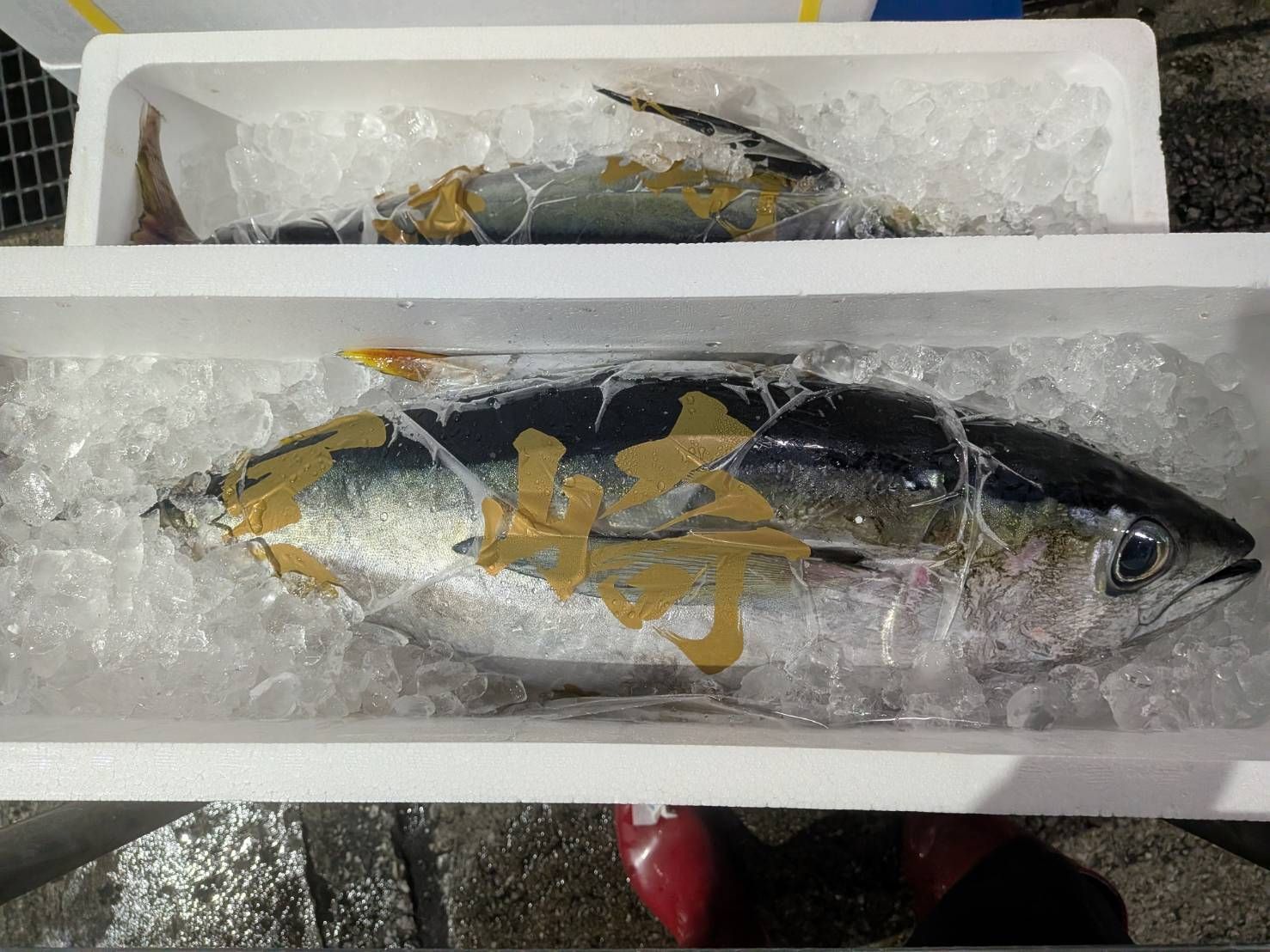 飲食店向け鮮魚の発注なら魚ポチ | 魚ポチ | 飲食店専門の仕入れサービス