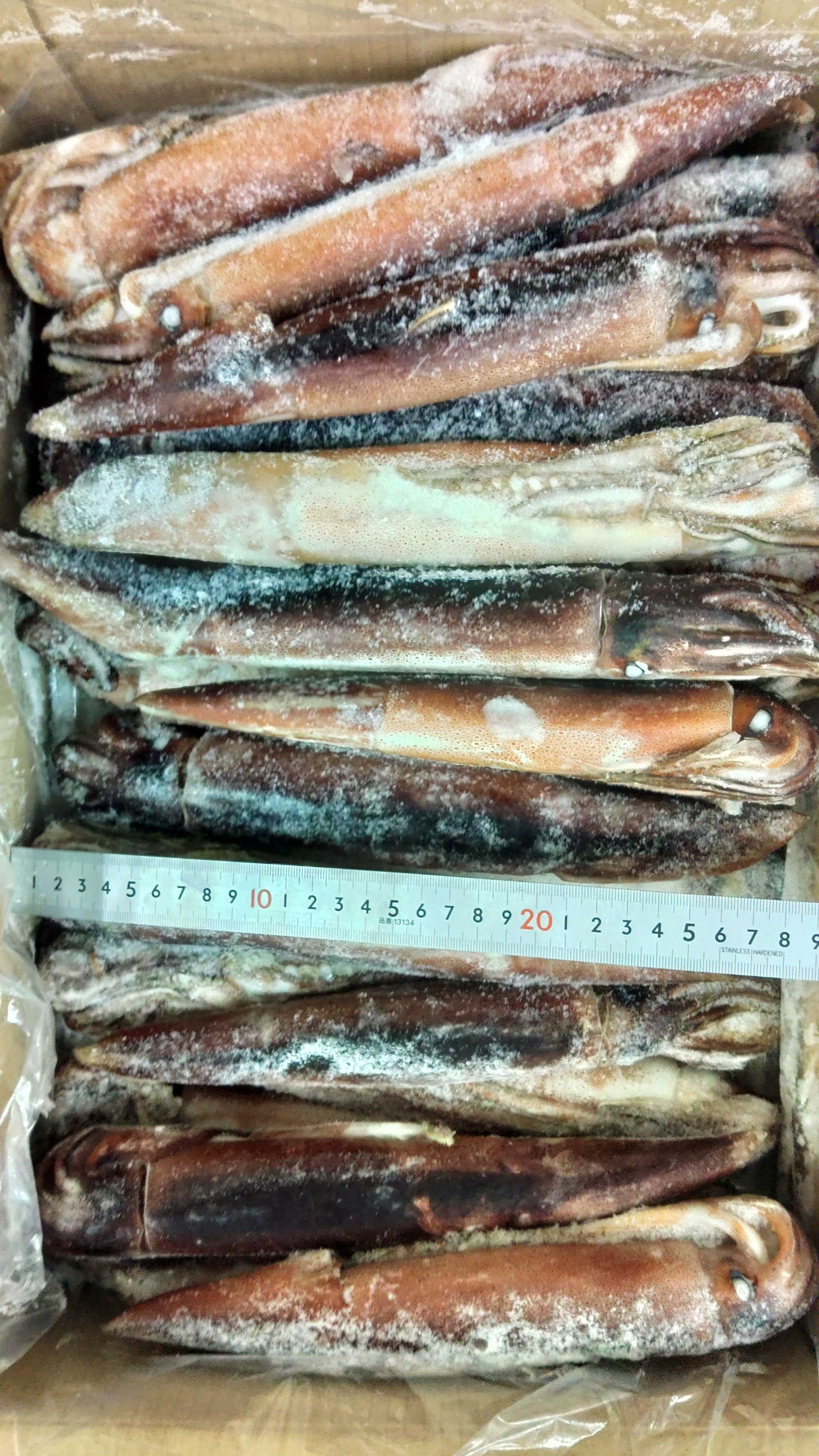 冷凍(船凍)スルメイカIQF36-40サイズ【杯売】 | 魚ポチ | 飲食店専門の