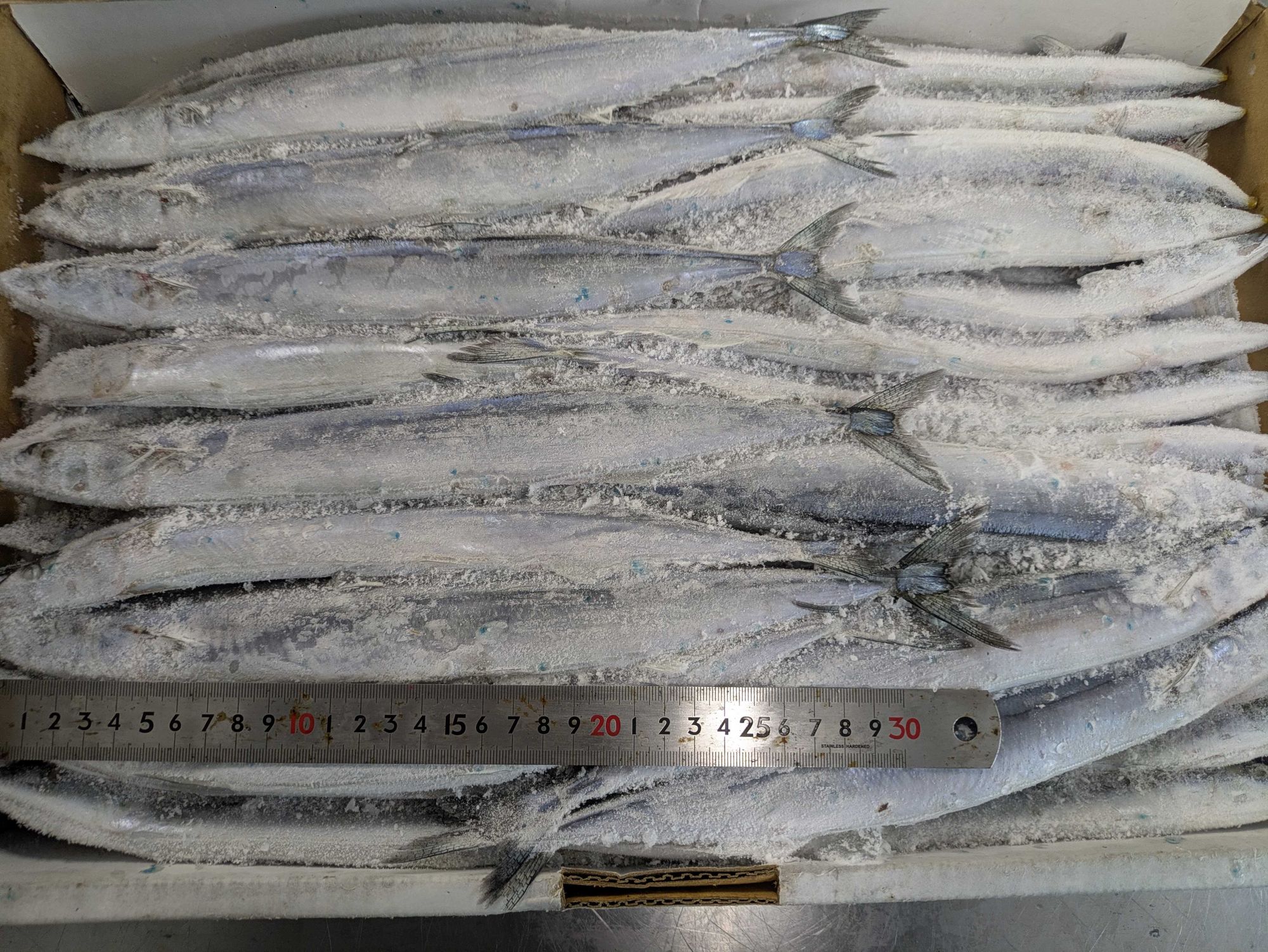 すべての商品 | 魚ポチ | 飲食店専門の仕入れサービス