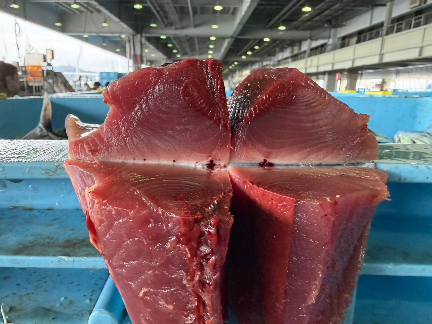 ポチ出品 産地仕入れの魚 | 魚ポチ | 飲食店専門の仕入れサービス
