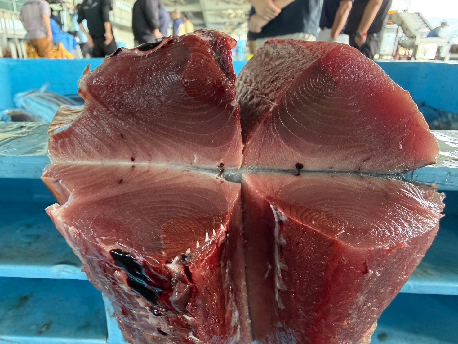 すべての商品 | 魚ポチ | 飲食店専門の仕入れサービス