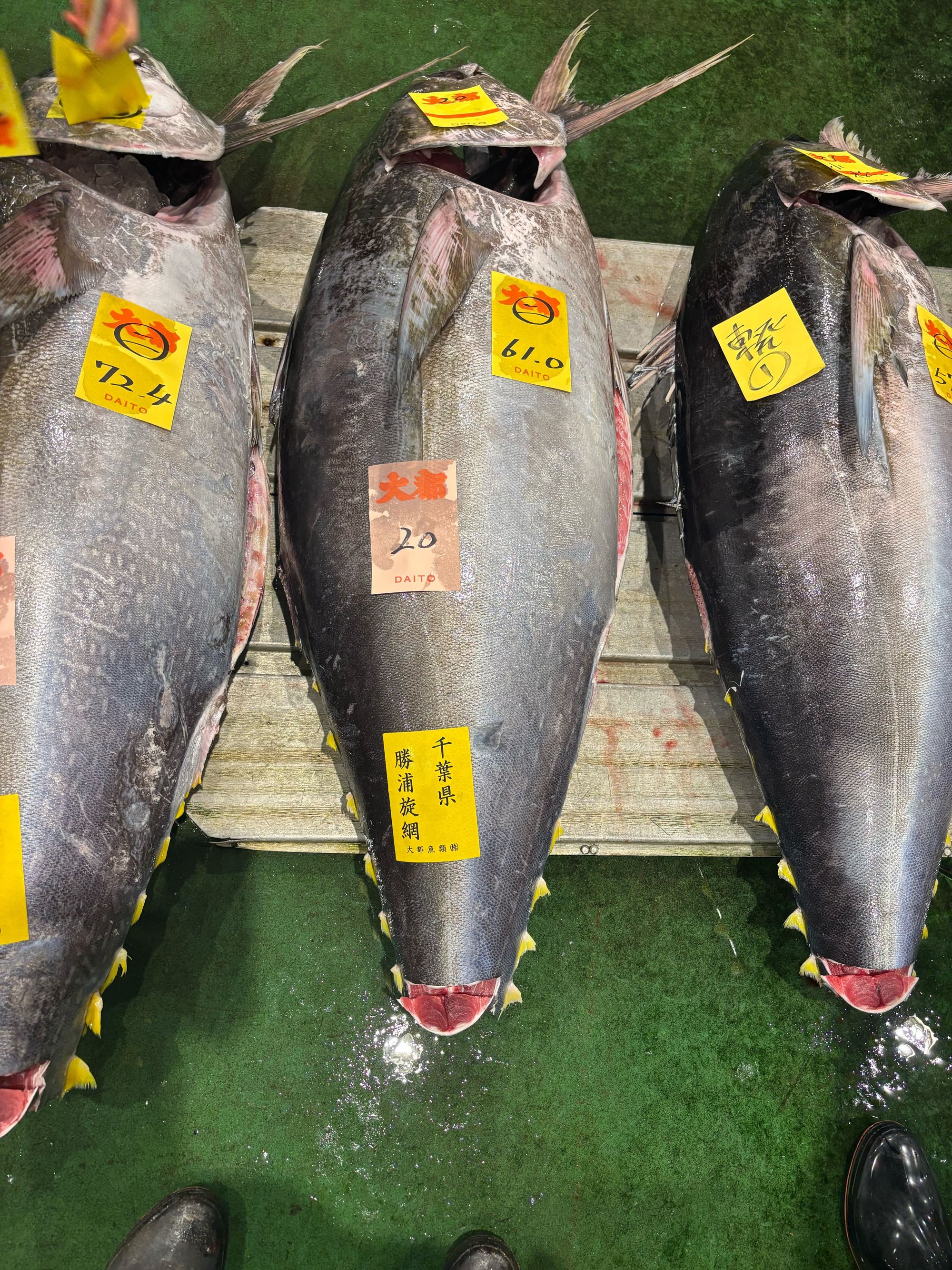 鮮魚セット | 魚ポチ | 飲食店専門の仕入れサービス