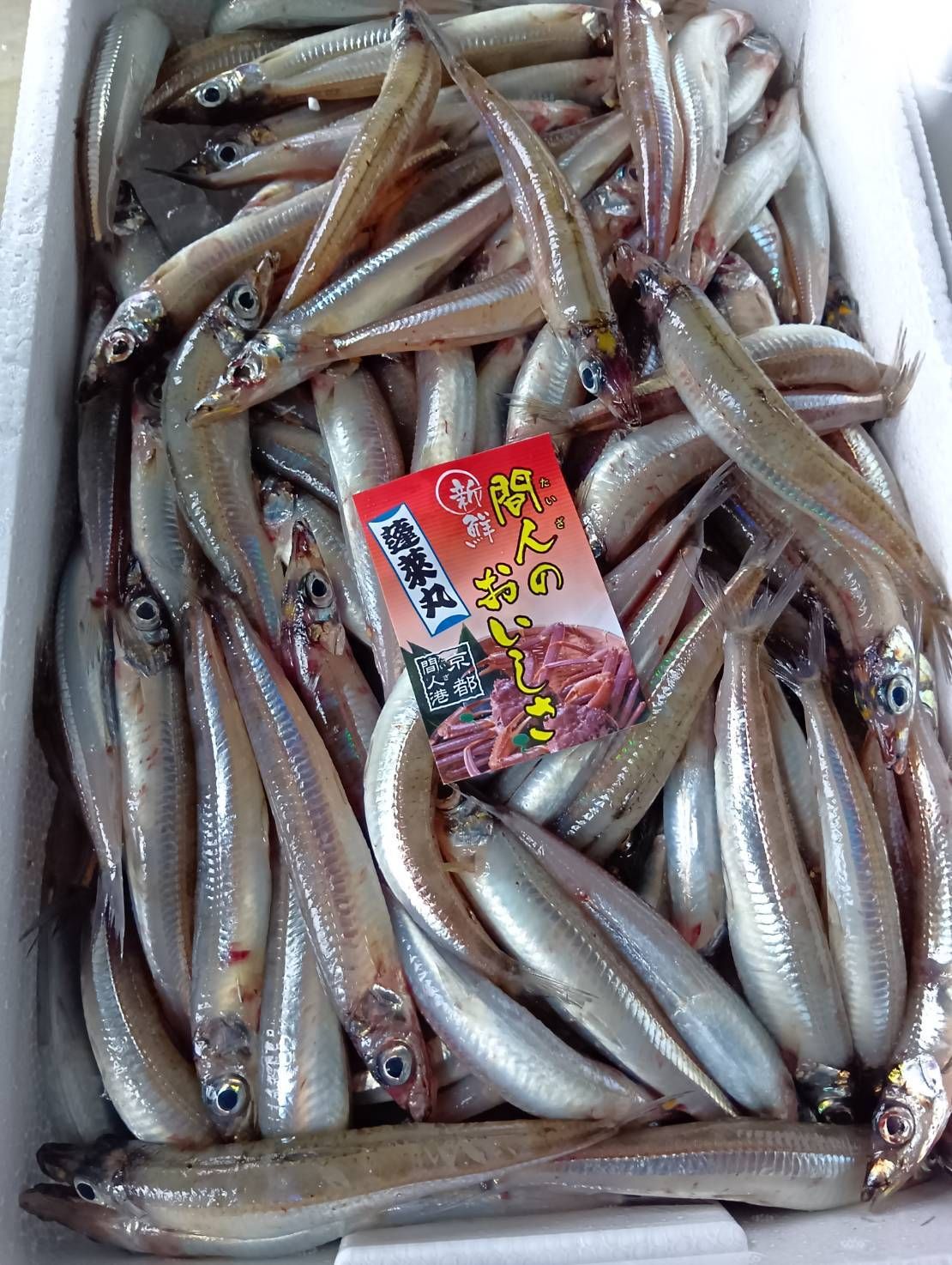 鮮魚セット | 魚ポチ | 飲食店専門の仕入れサービス