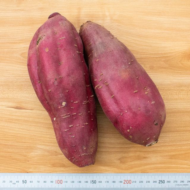 すべての芋・根菜 | 魚ポチ | 飲食店専門の仕入れサービス