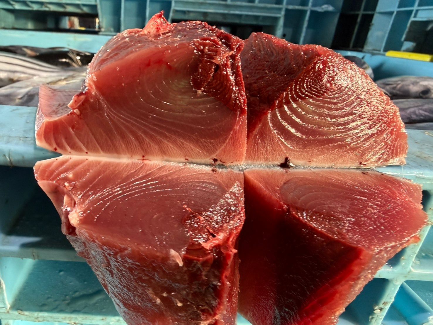 すべての商品 | 魚ポチ | 飲食店専門の仕入れサービス