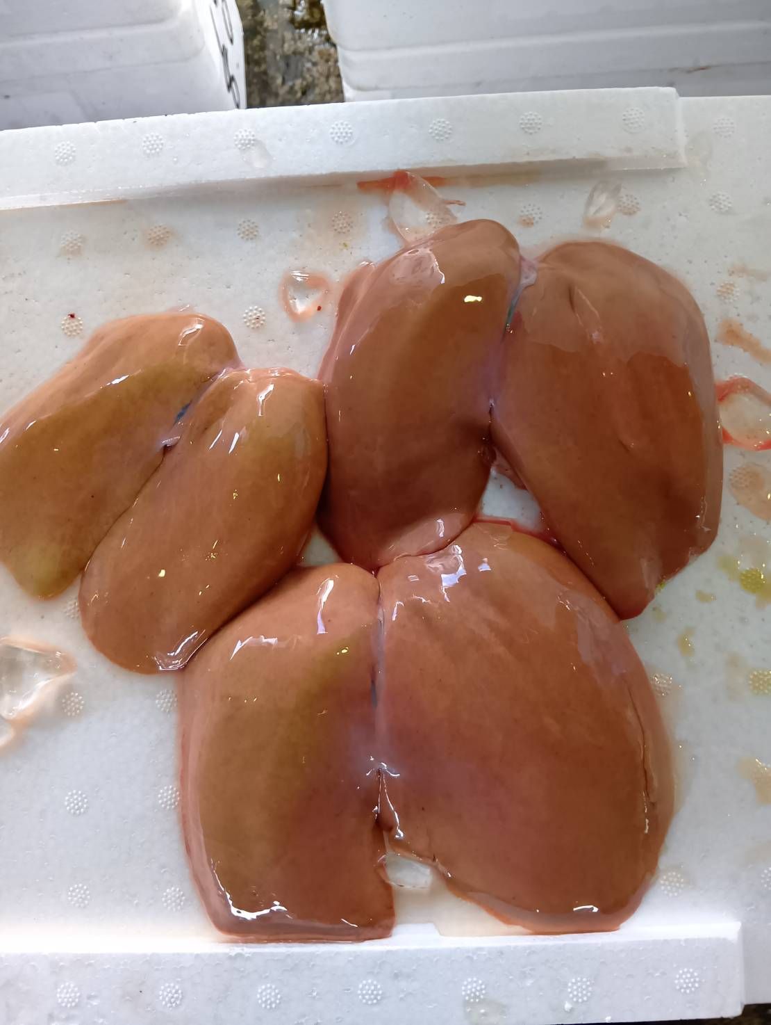 産地仕入れの魚 | 魚ポチ | 飲食店専門の仕入れサービス