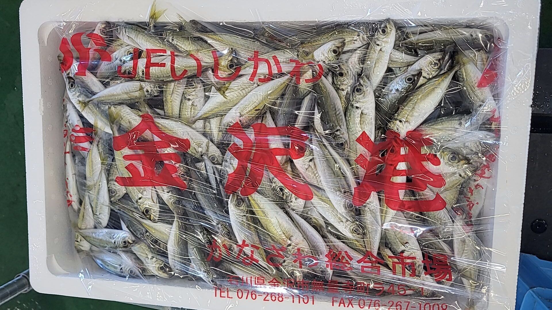 産地仕入れの魚 | 魚ポチ | 飲食店専門の仕入れサービス
