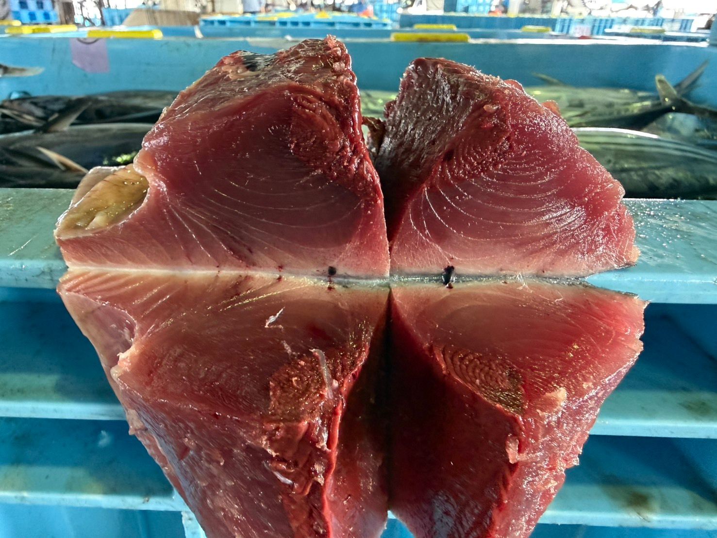 飲食店向け鮮魚の発注なら魚ポチ | 魚ポチ | 飲食店専門の仕入れサービス