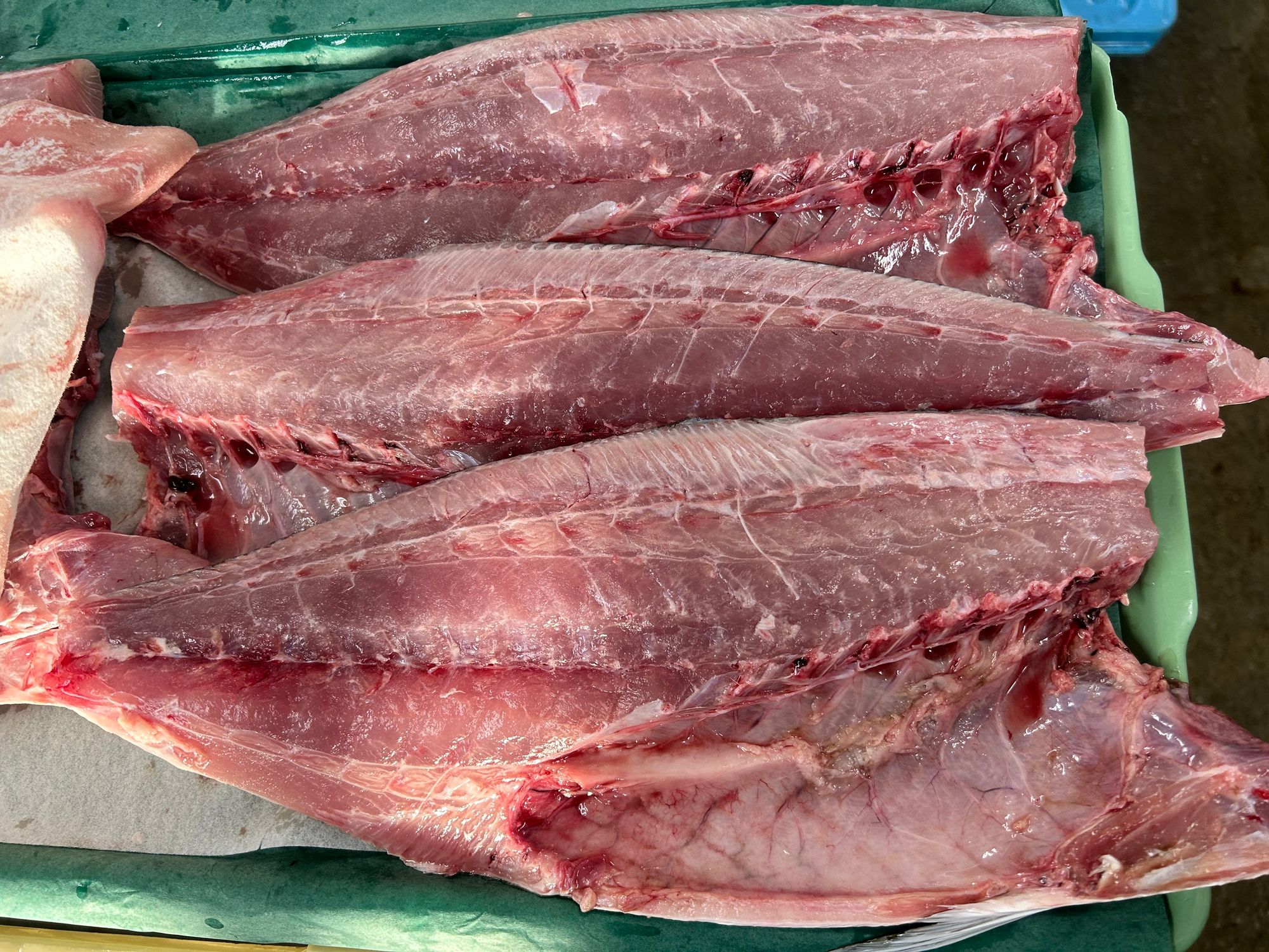 冷凍品 | 魚ポチ | 飲食店専門の仕入れサービス